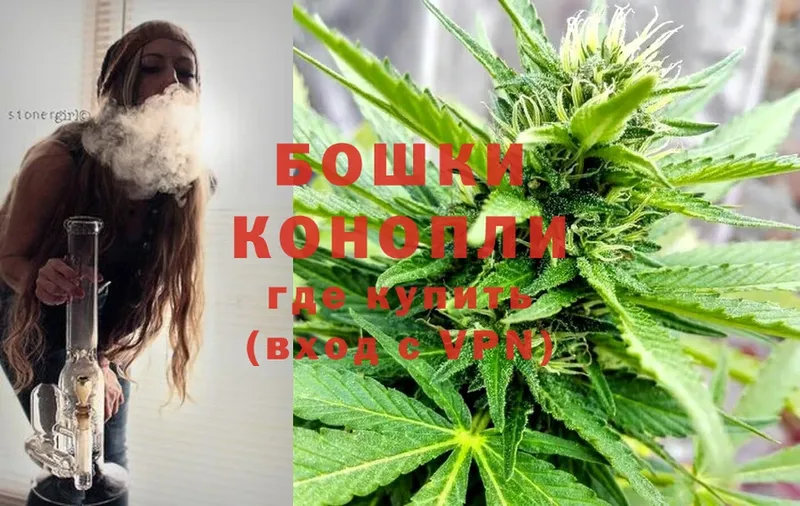 купить   Будённовск  это какой сайт  Канабис White Widow 